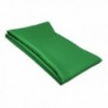 Irish Green Solid Color Scarf - CX12ODEZHVH