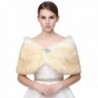 Belle House Faux Fur Shawl Wrap Stole Cape for Women Bridal Shawl Winter - Champagne - C612O1M5TYY