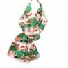 Rosemarie Collections Women's Christmas Holiday Fashion Scarf "Dog and Cat Santas" - Green - CQ12NYU4Q3A