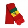 RW Knitted Rasta Lion Scarf - Red/Rasta - CX124LTUTP3