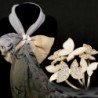 Sanwood Butterfly Scarves Buckle Golden in Fashion Scarves