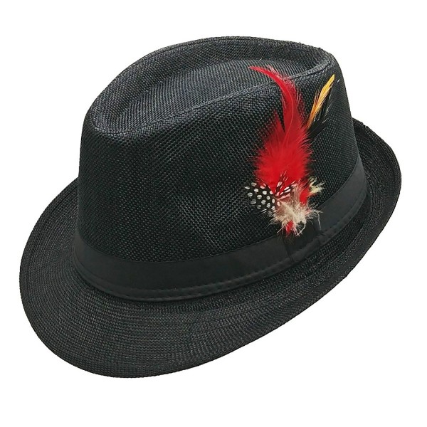 List A Fedora Hat With Band & Feather - Trilby Gangster Mob Panama Jazz Vintage Style - Black - C3189MWEYAK