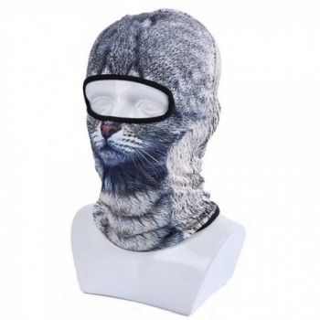 Balaclava Windproof full face Mask Protection Cold in Men's Balaclavas