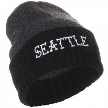 American Cities Seattle Washington Winter