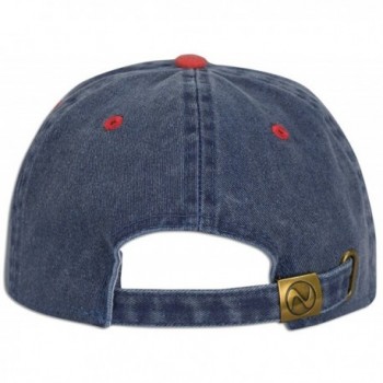 Pigment Plain Cotton Curved Baseball in Men's Baseball Caps