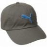 PUMA Men's Icon Adjustable Relaxed Fit Cap - Gray - CQ11OUU6IDB