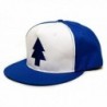Dipper Blue Pine Tree Embroidered in Men's Baseball Caps