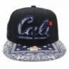 LAFSQ Embroidered California Snapback Paisley