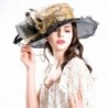 Harmony Life Women Foldable Organza Church Derby Hat Ruffles Wide Brim - Gold-b - CG17Z6MX3XS