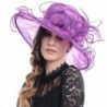 Leaves Organza Church Kentucky Violet