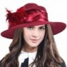 Women 100% Wool Dress Church Winter Wedding Party Fedoras Hat - Feather-claret - CQ186UDTD7C