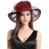 MissCynthia Women's Organza Church Kentucky Derby Fascinator Tea Party Wedding Hat - Wine Red - CH182T42Z4C