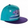 California Republic Vintage Snapback Purple