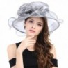 Janey&Rubbins S3110 Delicate Organza 4.5" Wide Brim Church Dress Derby Hat - Silver - CB11S1HI68T