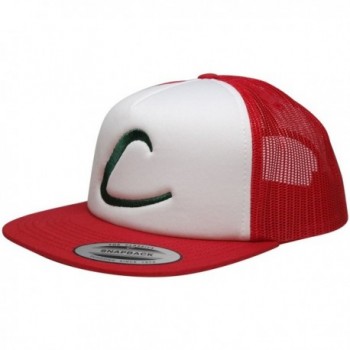 FLEXFIT Pokemon Trainer Embroidered Snapback